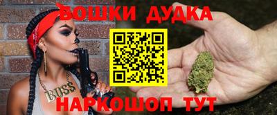 соль ск Сланцы